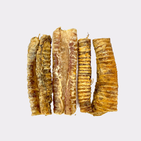 Trachea pieces - 100g