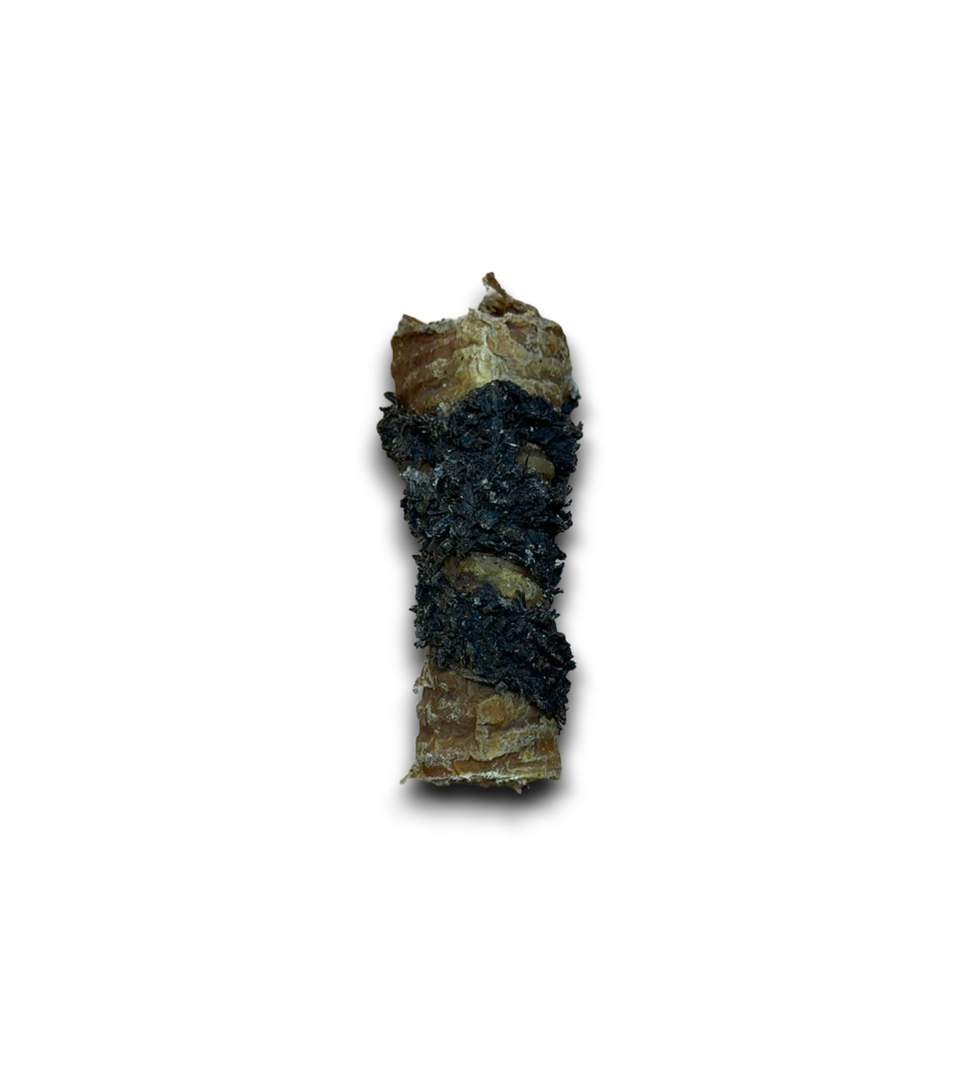 Tripe Wrapped Trachea - approx 15cm