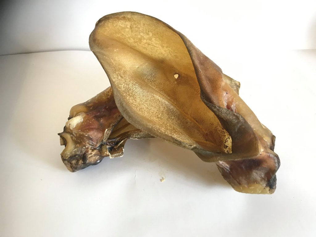 Buffalo Ears without fur - pack of 2