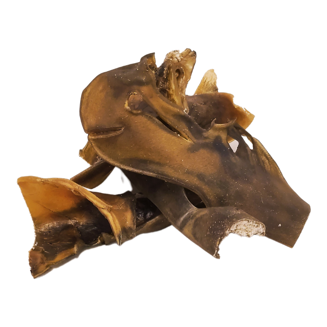Picture of camel skin