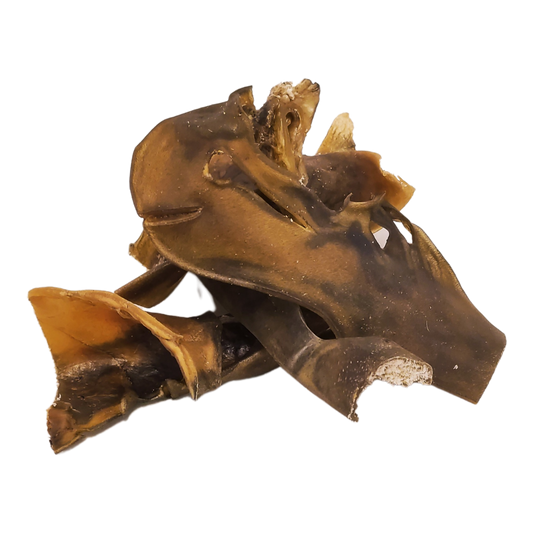 Picture of camel skin