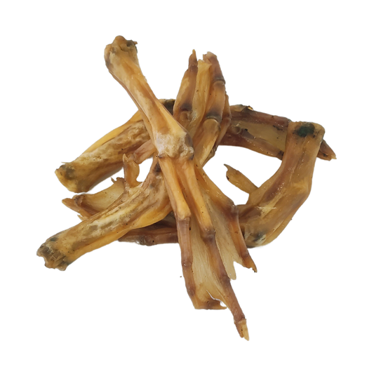 Picture of duck feet