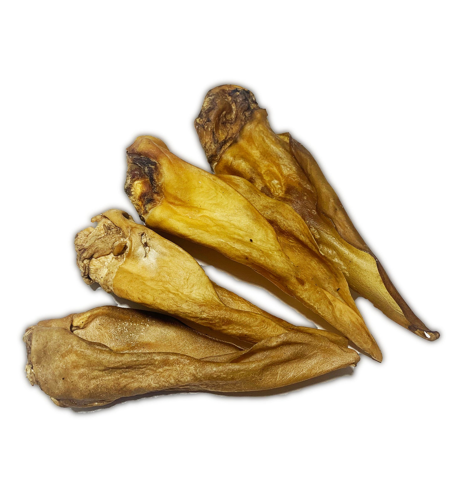 Goat Ears (without fur) - pack of 2