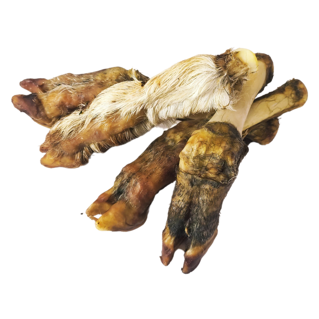 Picture of lamb foot with fur