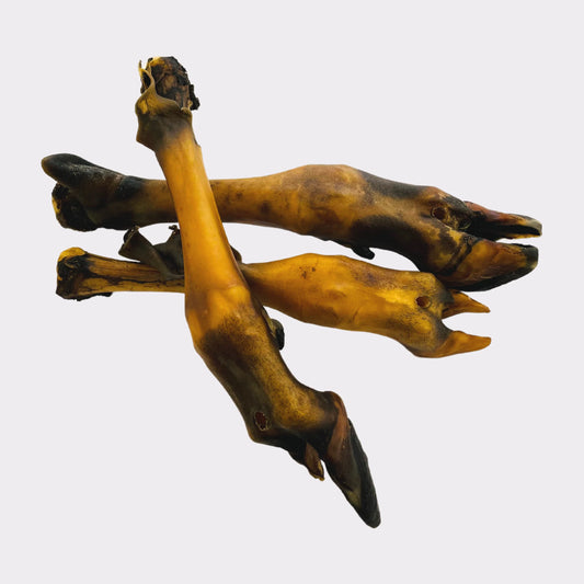 Lamb Foot without fur