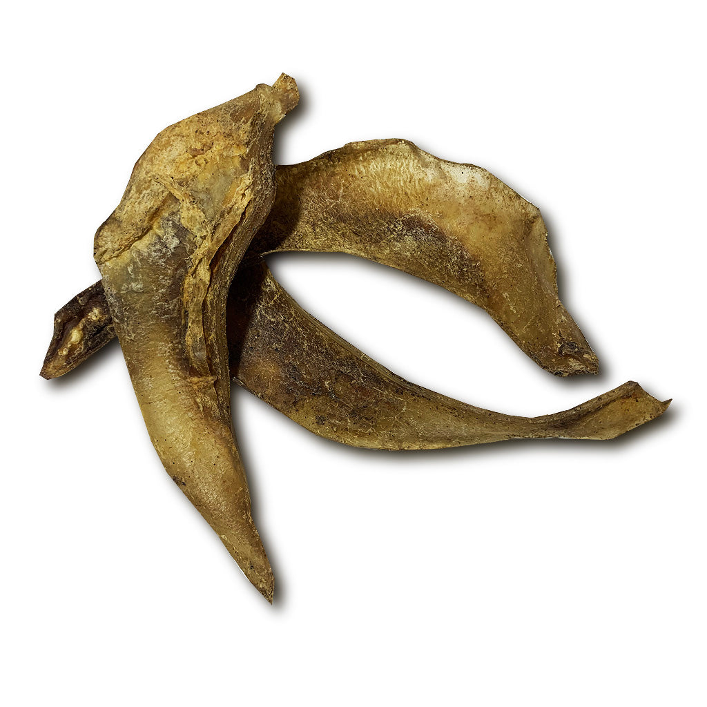 Picture of moon bone