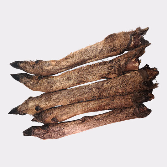 Venison Leg with fur