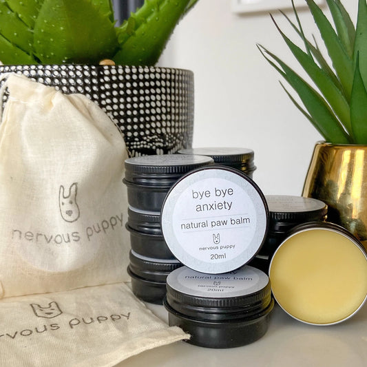 Bye Bye Anxiety Paw Balm - 20ml