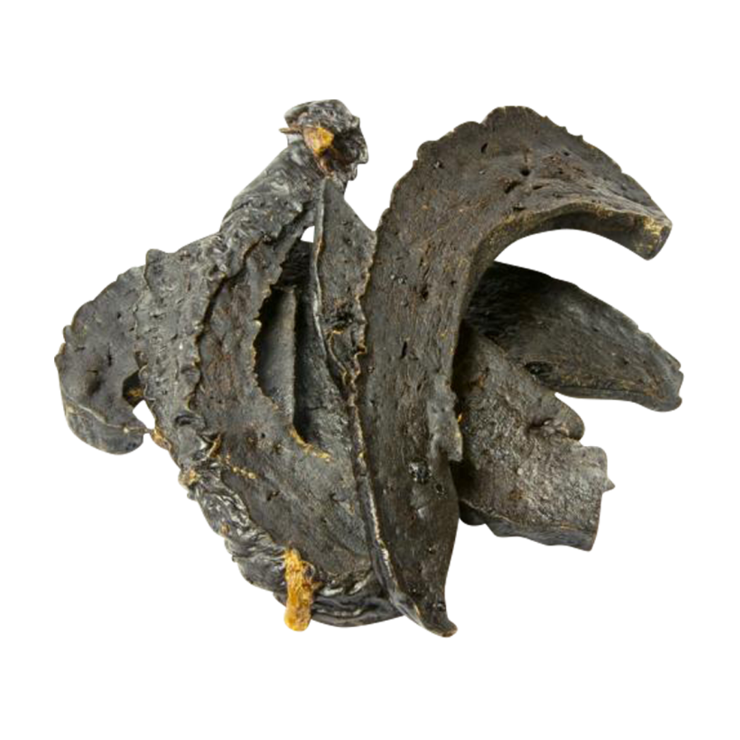 Picture of dried liver