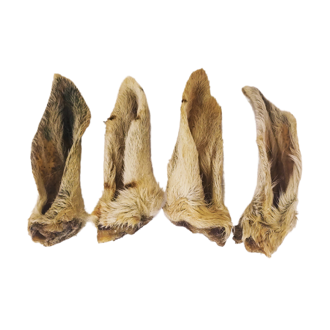 Picture of lamb ears with fur