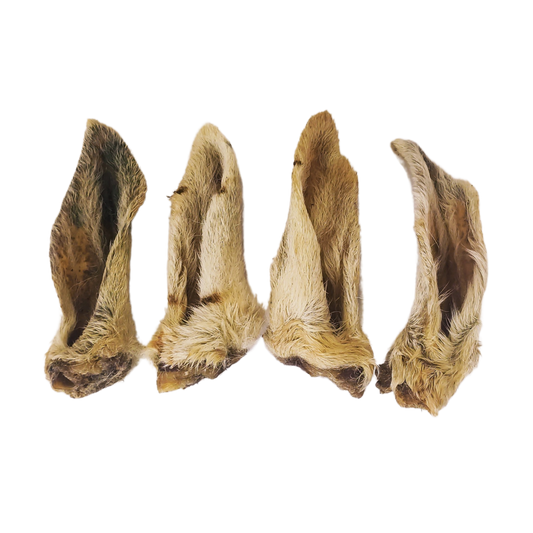 Picture of lamb ears with fur