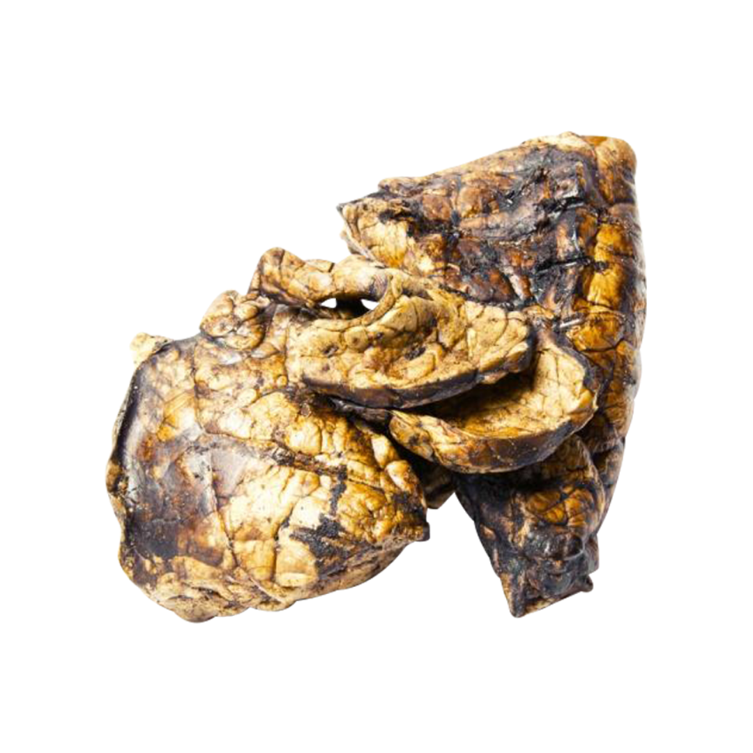 Picture of puffed beef lung