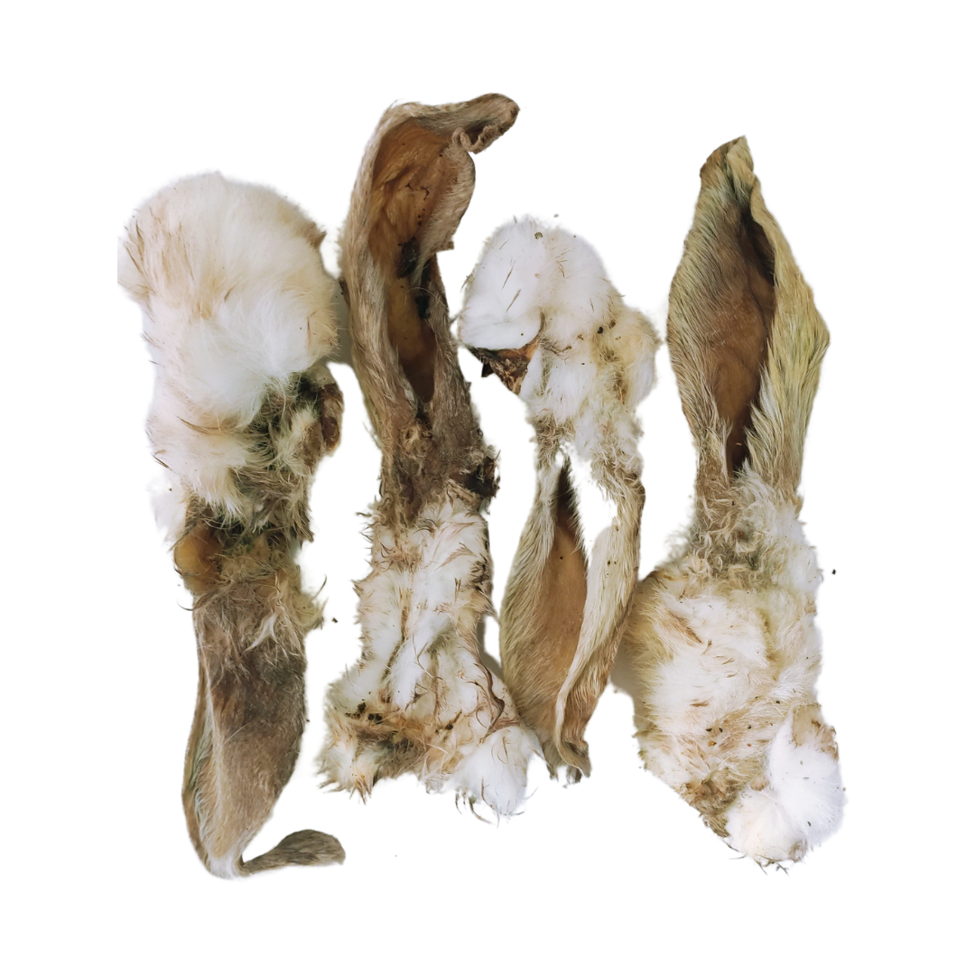 picture of rabbit ears with fur