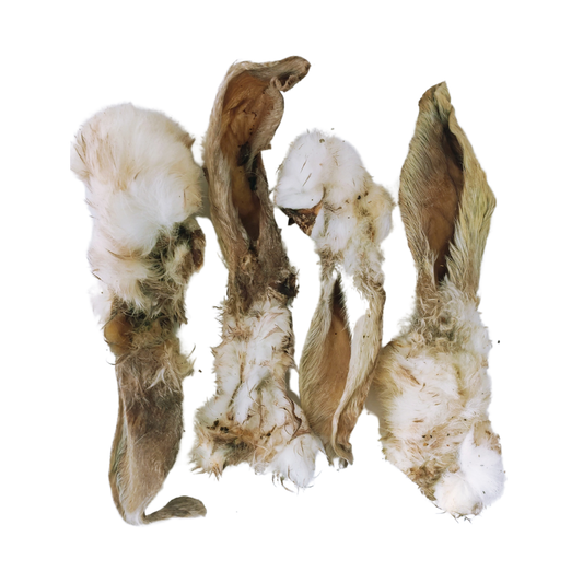 picture of rabbit ears with fur