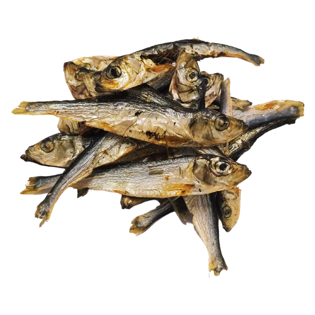 picture of sprats