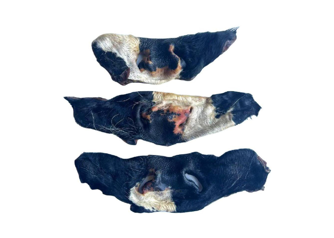 Beef Snout - large