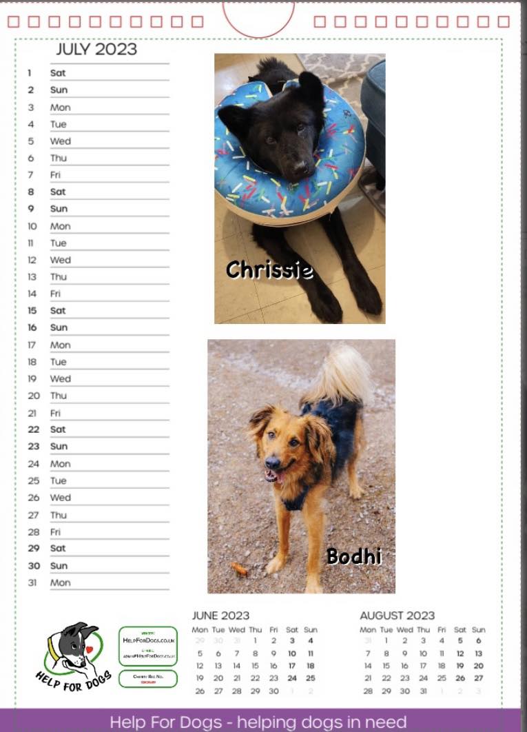 Charity Calendars 2024