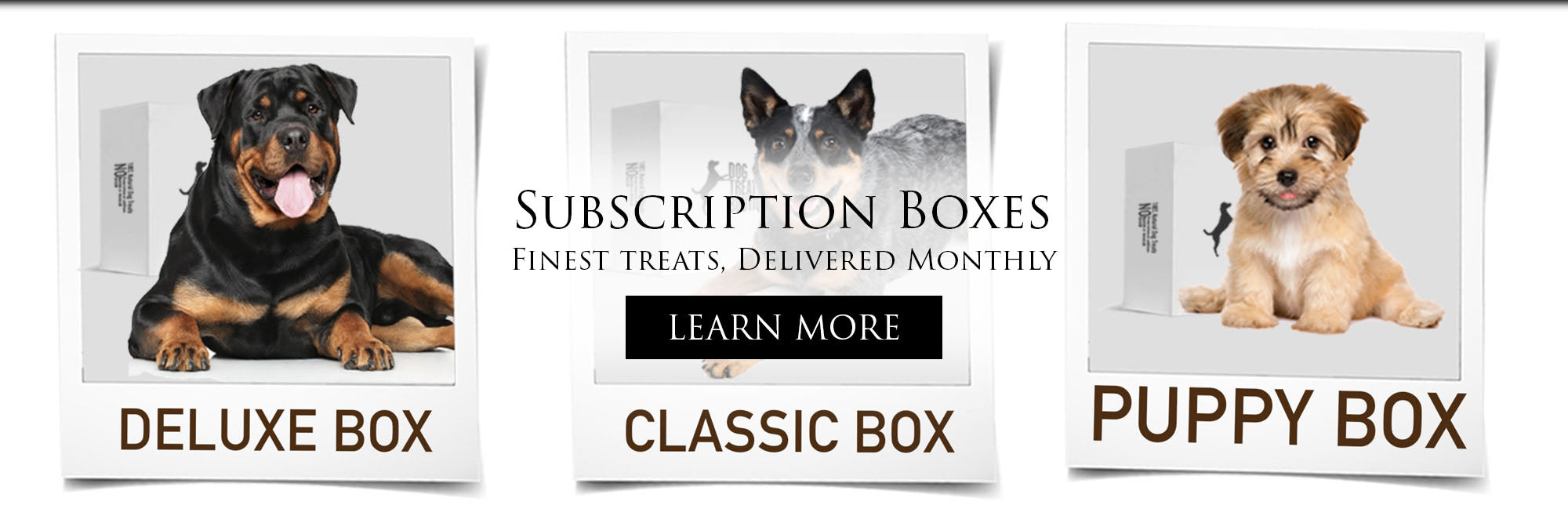 Monthly dog treat on sale subscription