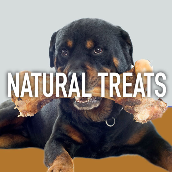 Natural Dog Treats and Chews