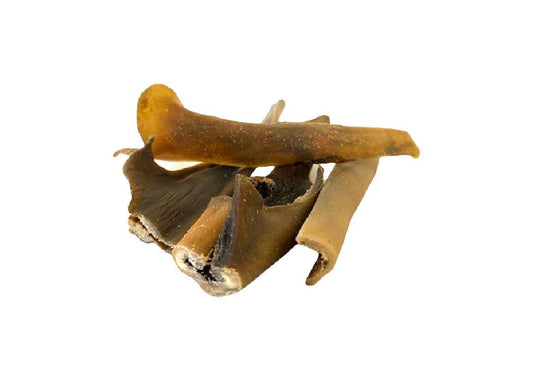 Camel Skin Chew - 100g