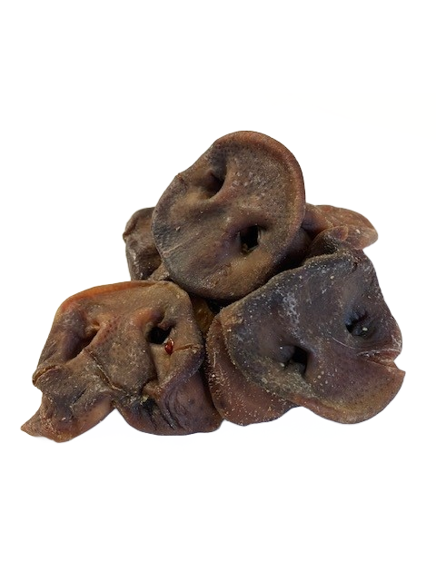 Pig Snouts (full) - pack of 2