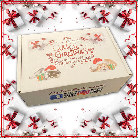 PRE-ORDER Christmas Chomp Box